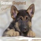 Avonside Publishing Ltd. - German Shepherd Puppies Calendar 2017