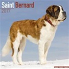 Avonside Publishing Ltd. - Saint Bernard Calendar 2017