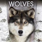 Avonside Publishing Ltd. - Wolves Calendar 2017