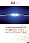 Kristaq Gazeli - Étude expérimentale de microplasmas froids à la pression atmosphérique