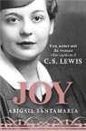 Abigail Santamaria - Joy