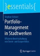 Stephan Schnorr - Portfolio-Management in Stadtwerken
