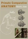 Daniel L Gebo, Daniel L. Gebo, Daniel L. (Professor Gebo - Primate Comparative Anatomy