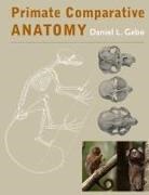 Daniel L Gebo, Daniel L. Gebo, Daniel L. (Professor Gebo - Primate Comparative Anatomy
