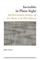 Jill E. Rowe, Rowe Jill E., Irene Maria F. Blayer, Dulce Maria Scott - Invisible in Plain Sight