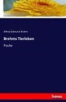 Alfred E. Brehm, Alfred Edmund Brehm - Brehms Tierleben