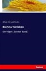 Alfred E. Brehm, Alfred Edmund Brehm - Brehms Tierleben