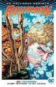 Dan Abnett, Phillipe Briones, Brad Walker, Phillipe Briones, Brad Walker - Aquaman Vol. 1: The Drowning (Rebirth)