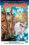 Dan Abnett, Phillipe Briones, Brad Walker, Phillipe Briones, Brad Walker - Aquaman Vol. 1: The Drowning (Rebirth)