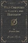 Frances Pitt - Wild Creatures of Garden and Hedgerow (Classic Reprint)