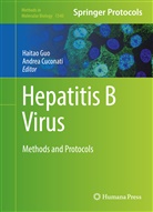 Cuconati, Cuconati, Andrea Cuconati, Haita Guo, Haitao Guo - Hepatitis B Virus