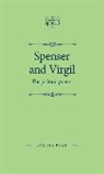 Syrithe Pugh, Syrithe N. A. M. Pugh - Spenser and Virgil