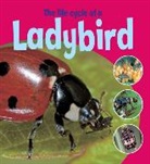 Ruth Thomson - Learning About Life Cycles: The Life Cycle of a Ladybird
