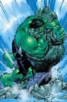 Paul Jenkins, Sean McKeever, McKeever Sean, John Romita - Incredible Hulk: Past Perfect