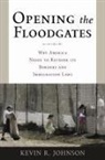 Kevin R Johnson, Kevin R. Johnson - Opening the Floodgates
