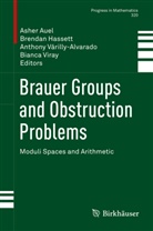 Asher Auel, Brenda Hassett, Brendan Hassett, Anthony Várilly-Alvarado, Anthony Várilly-Alvarado et al, Bianca Viray - Brauer Groups and Obstruction Problems
