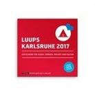 Karsten Brinsa - LUUPS Karlsruhe 2017