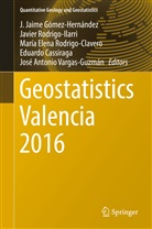 Eduardo Cassiraga, Elena Rodrigo-Clavero et al, J. Jaime Gómez-Hernández, María Elena Rodrigo-Clavero, Javie Rodrigo-Ilarri, Javier Rodrigo-Ilarri... - Geostatistics Valencia 2016