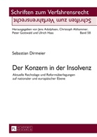 Sebastian Dirmeier - Der Konzern in der Insolvenz