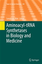 Sunghoo Kim, Sunghoon Kim - Aminoacyl-tRNA Synthetases in Biology and Medicine