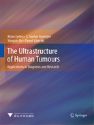 S Sanka Banerjee, S Sankar Banerjee, S. Sankar Banerjee, Bria Eyden, Brian Eyden, Pawel Liberski... - The Ultrastructure of Human Tumours