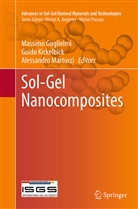 Massimo Guglielmi, Guid Kickelbick, Guido Kickelbick, Alessandro Martucci - Sol-Gel Nanocomposites