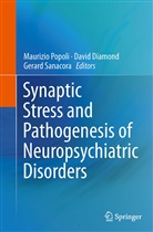 Davi Diamond, David Diamond, Maurizio Popoli, Gerard Sanacora - Synaptic Stress and Pathogenesis of Neuropsychiatric Disorders