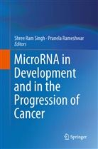 Shre Ram Singh, Shree Ram Singh, Rameshwar, Rameshwar, Pranela Rameshwar, Shree Ram Singh - MicroRNA in Development and in the Progression of Cancer