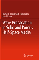 Limin Dai, Liming Dai, Hamid Hamidzadeh, Hamid R Hamidzadeh, Hamid R. Hamidzadeh, Reza N Jazar... - Wave Propagation in Solid and Porous Half-Space Media