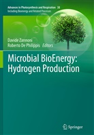 De Philippis, De Philippis, Roberto De Philippis, David Zannoni, Davide Zannoni - Microbial BioEnergy: Hydrogen Production