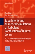 Gutheil, Gutheil, Eva Gutheil, Bar Merci, Bart Merci - Experiments and Numerical Simulations of Turbulent Combustion of Diluted Sprays