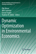 Elke Moser, Will Semmler, Willi Semmler, Gernot Tragler, Gernot Tragler et al, Vladimir M. Veliov - Dynamic Optimization in Environmental Economics