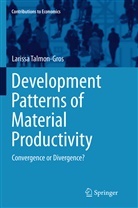 Larissa Talmon-Gros - Development Patterns of Material Productivity