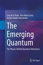 Ana Marí Cetto, Ana Maria Cetto, Ana María Cetto, Luis de la Pena, Lui de la Peña, Luis de la Peña... - The Emerging Quantum
