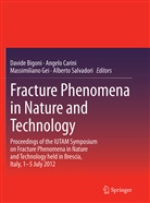 Davide Bigoni, Angel Carini, Angelo Carini, Massimiliano Gei, Massimiliano Gei et al, Alberto Salvadori - Fracture Phenomena in Nature and Technology