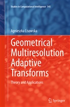 Agnieszka Lisowska - Geometrical Multiresolution Adaptive Transforms