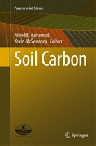 Alfre E Hartemink, Alfred E Hartemink, Alfred E. Hartemink, McSweeney, McSweeney, Kevin McSweeney - Soil Carbon