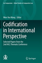 Wen-Ye Wang, Wen-Yeu Wang - Codification in International Perspective