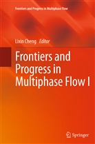 Lixi Cheng, Lixin Cheng - Frontiers and Progress in Multiphase Flow  I