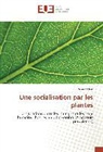 Rama Leclerc - Une socialisation par les plantes