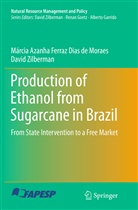 Márcia Azanh Ferraz Dias de Moraes, Márcia Azanha Ferraz Dias de Moraes, Da Zilberman, David Zilberman - Production of Ethanol from Sugarcane in Brazil