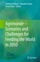 Bruno Dorin, Sandrine Paillard, Sébastie Treyer, Sebastien Treyer, Sébastien Treyer - Agrimonde - Scenarios and Challenges for Feeding the World in 2050
