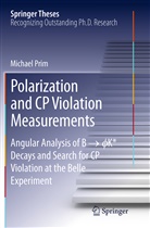 Michael Prim - Polarization and CP Violation Measurements
