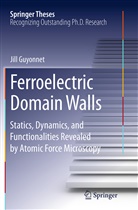 Jill Guyonnet - Ferroelectric Domain Walls