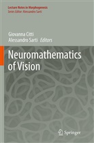 Giovann Citti, Giovanna Citti, SARTI, Sarti, Alessandro Sarti - Neuromathematics of Vision