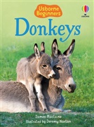 Maclaine, James Maclaine, Norton, Jeremy Norton, Norton Jeremy - Donkeys
