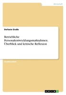 Stefanie Große - Betriebliche Personalentwicklungsmaßnahmen. Überblick und kritische Reflexion