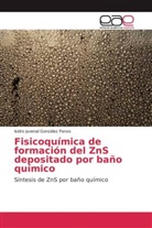 Isidro Juvenal González Panzo - Fisicoquímica de formación del ZnS depositado por baño químico
