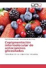 Geovanna Narváez Olmos, Marth Suárez Heredia, Martha Suárez Heredia - Copigmentación intermolecular de antocianinas glicosiladas