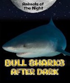 Heather Niver, Heather M. Moore Niver, Heather Moore Niver - Bull Sharks After Dark